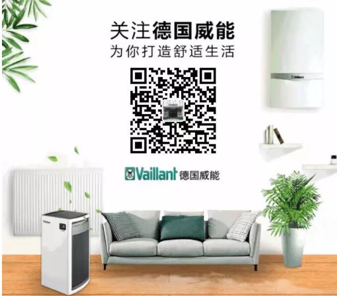 1551671031652773.jpg 4.jpg