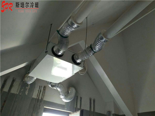 1599634522489243.jpg 26090945.jpg