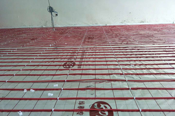 1600492914970567.jpg 20cab201e3a0b2d4ed882b3d72b4af9.jpg