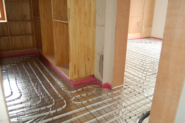 1605924705495853.jpg timm.jpg