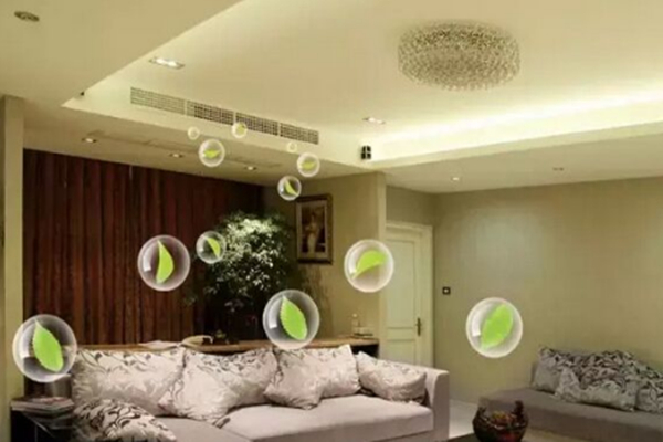 1619591907213196.jpg 新風1.jpg