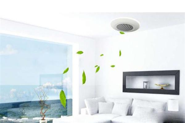 1619591938685648.jpg 新風2.jpg