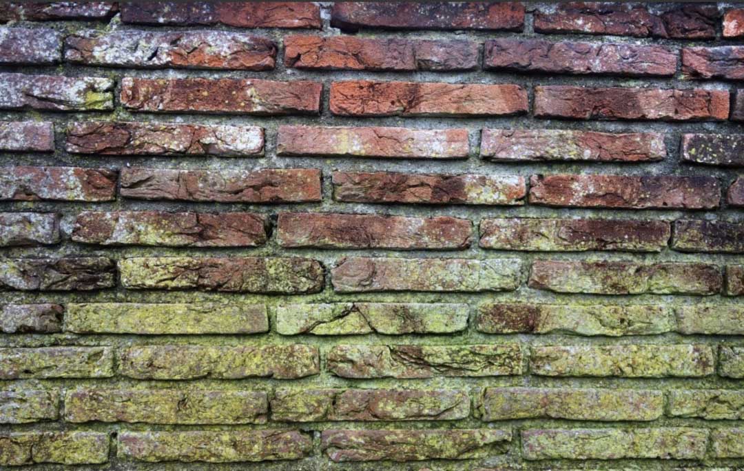 1671525995361800.jpg 1671525995361800.jpg