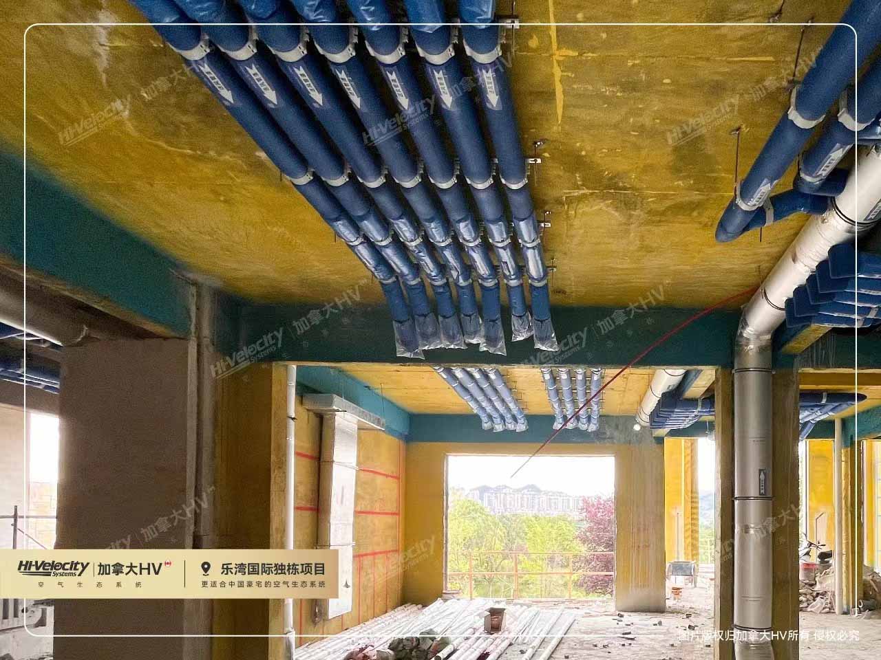 加拿大HV3 加拿大HV3