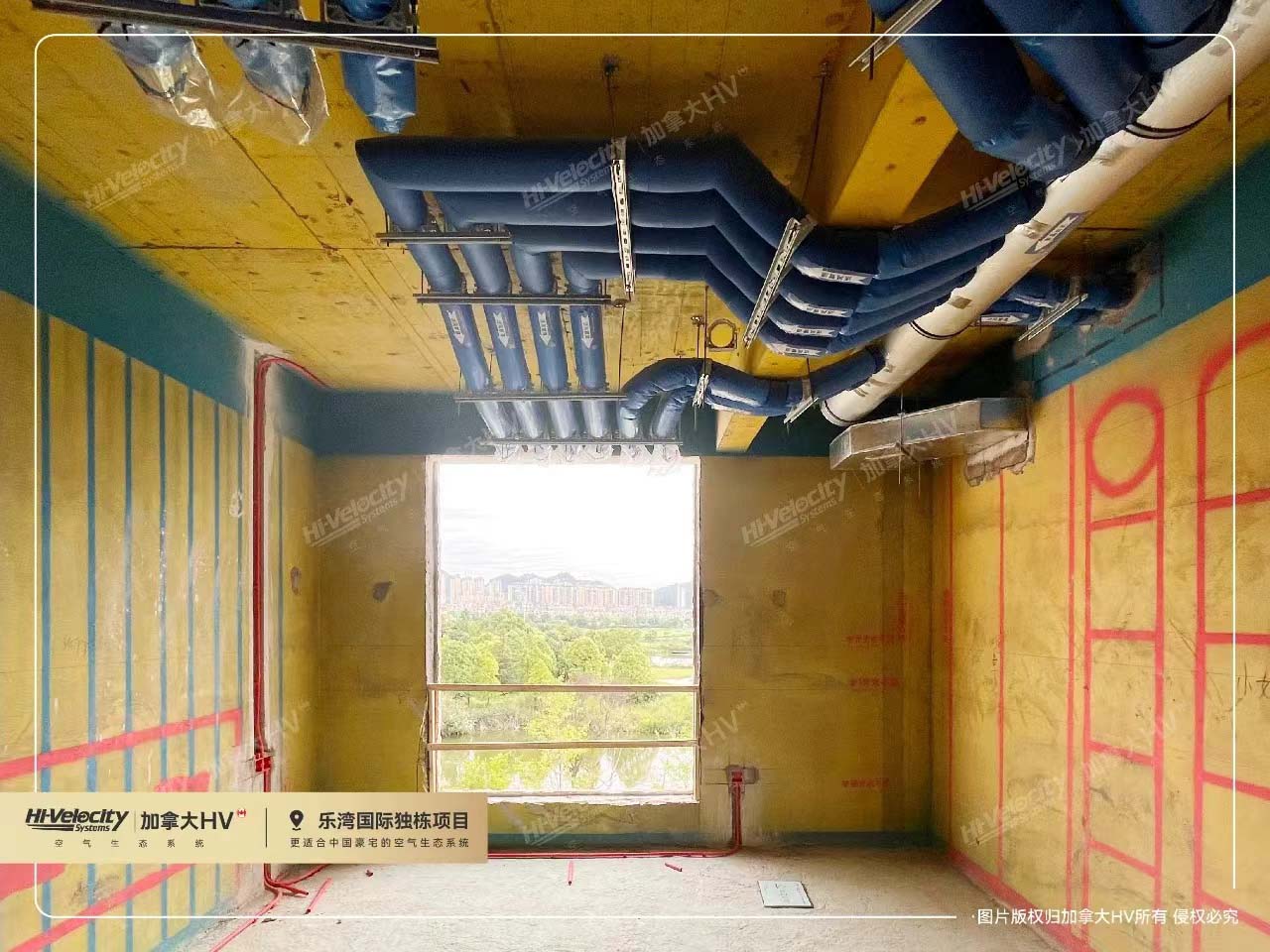 加拿大HV4 加拿大HV4