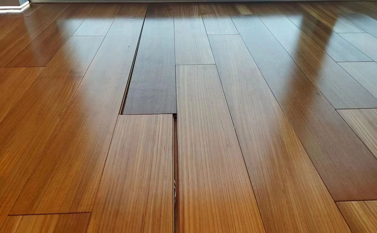 XPEL建筑膜5 XPEL建筑膜5