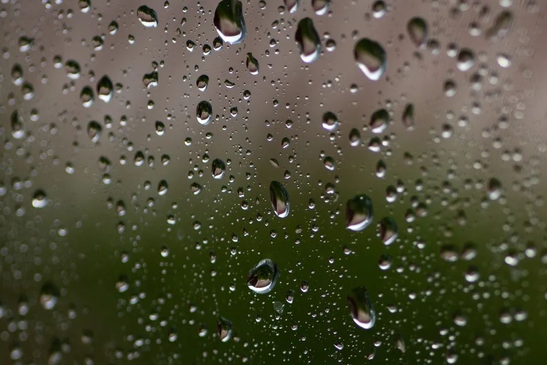 建筑濕度問題，比空氣濕度問題更棘手！